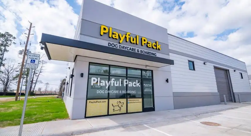 Playful Pack Dog Daycare & Boarding