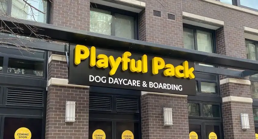 Playful Pack Dog Daycare & Boarding
