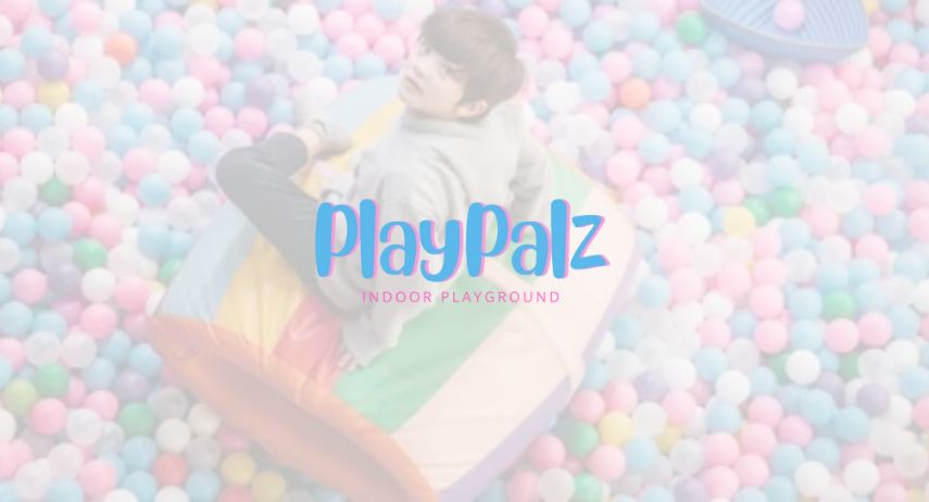 PlayPalz Indoor Playground Franchise For Sale