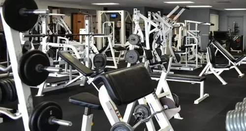 Powerflex Gym Franchise Cost, ROI & Opportunities image 3