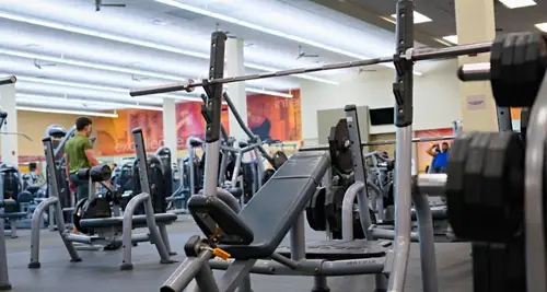 Powerflex Gym Franchise Cost, ROI & Opportunities