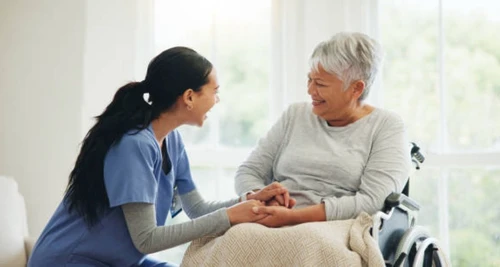 Premier RN Geriatric Care Franchise For Sale
