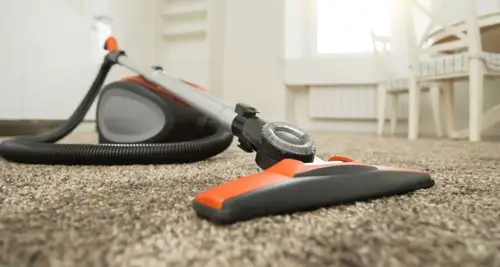 Professional Carpet Systems Franchise For Sale