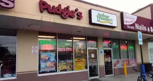 Pudgie's Famous Chicken Franchise For Sale image 4