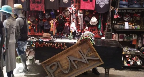PUNK India Franchise Cost, Fees, Opportunity