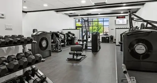 Pure Physique Franchise Investment, Costs & Opportunity image 2