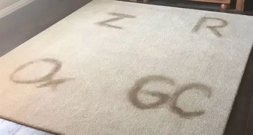 PureChem Carpet Care