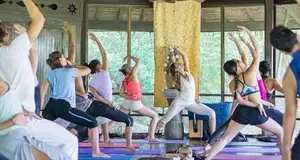 Pureflo Yoga Franchise Cost & Fees Opportunities
