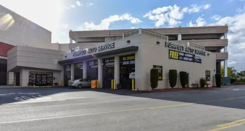 Purrfect Auto Service