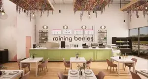 Raining Berries Franchise Cost, Fees Opportunities