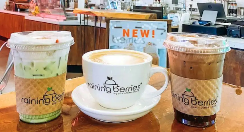 Raining Berries Franchise Cost, Fees Opportunities