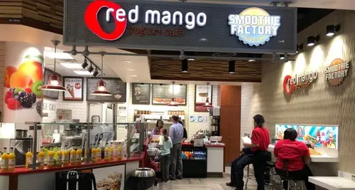 Red Mango Franchise Investment, Cost & Opportunity image 3