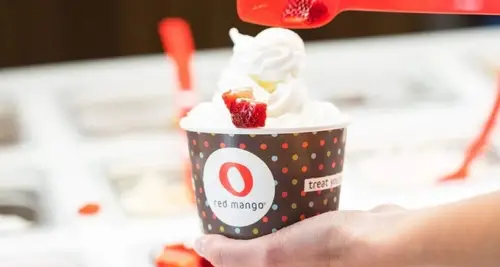 Red Mango Franchise Investment, Cost & Opportunity image 4