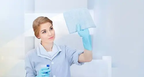 Regal Maid Service Franchise Opportunities