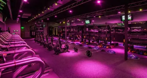 Regymen Fitness Franchise Cost & Fees Opportunities