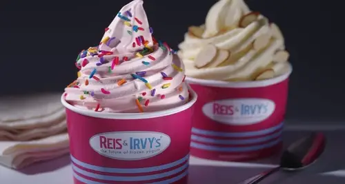 Reis & Irvy’s Franchise Cost & Fees Opportunities