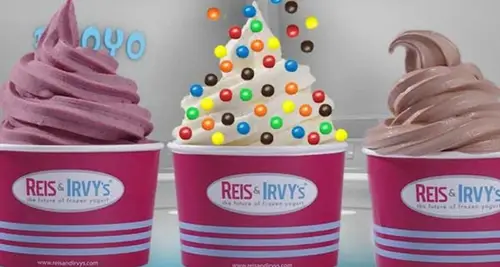 Reis & Irvy’s Franchise Cost & Fees Opportunities image 2
