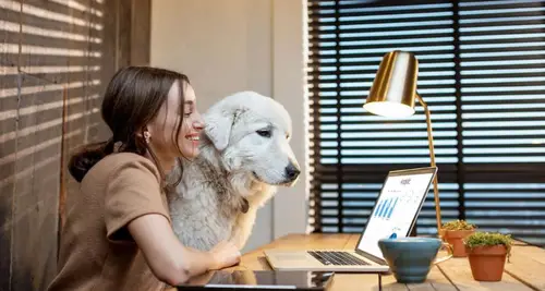 Resting Rainbow Franchise Cost & Fees Opportunities image 4