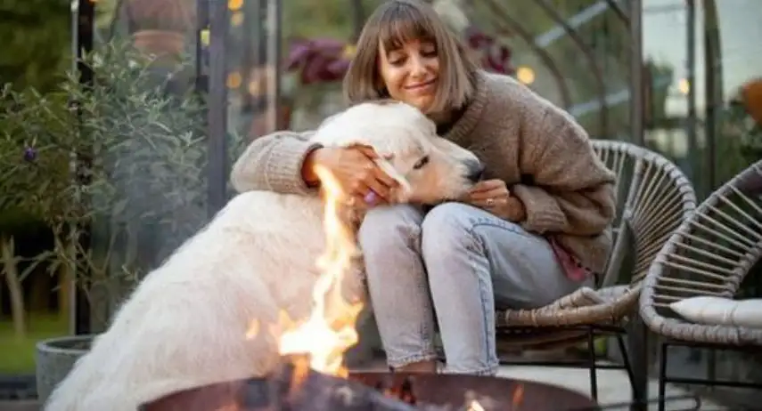 Resting Rainbow Pet Memorials & Cremation Franchise Opportunity image 2