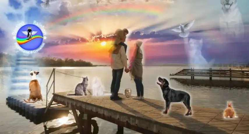 Resting Rainbow Pet Memorials & Cremation Franchise Opportunity image 3