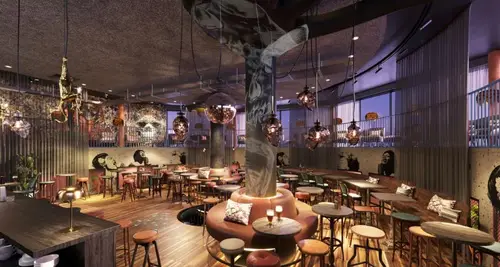 Reverb by Hard Rock Franchise Opportunity image 4