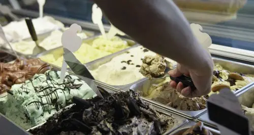 Rich Farm Ice Cream Franchise Opportunities image 2