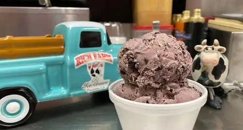 Rich Farm Ice Cream Franchise Opportunities image 3