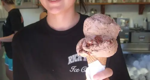 Rich Farm Ice Cream Franchise Opportunities