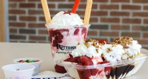 Ritter’s Frozen Custard Franchise Opportunity
