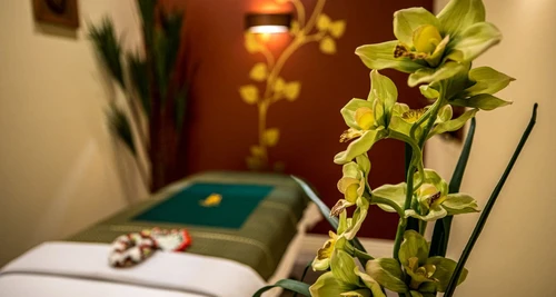 Sabai Thai Spa Franchise Cost, Fees, Opportunities