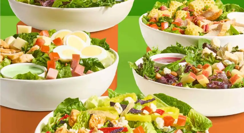 Saladworks Franchise Opportunities in USA