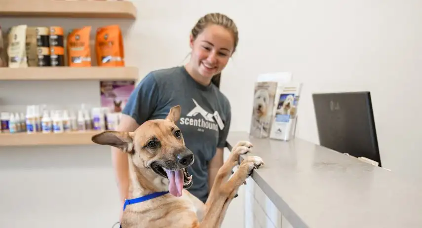 Scenthound Franchise Opportunity