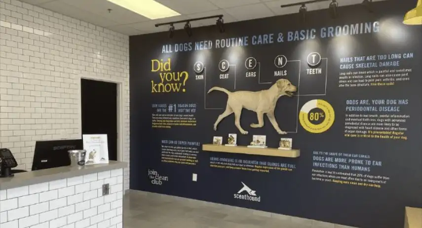 Scenthound Franchise Opportunity image 2