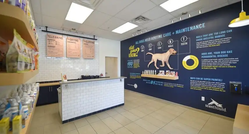 Scenthound Franchise Opportunity image 4