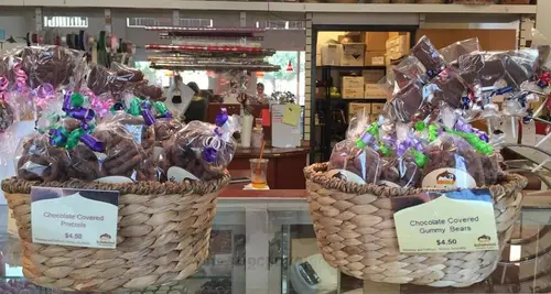 Schakolad Chocolate Factory Franchise For Sale