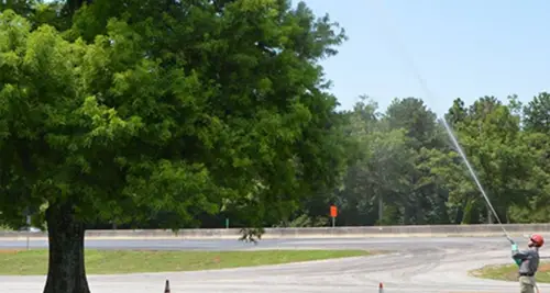 Schneider Shrub & Tree Care Franchise For Sale image 2