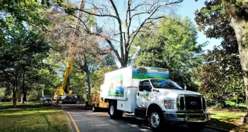 Schneider Shrub & Tree Care Franchise For Sale image 3