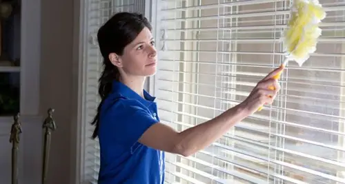 Sears Maid Service Franchise Opportunities