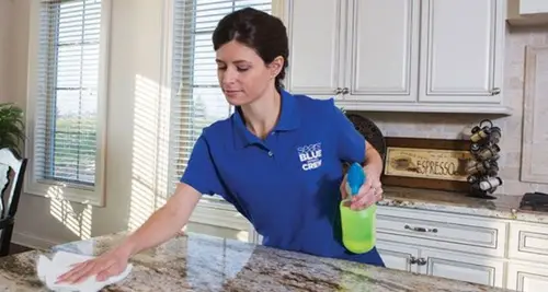 Sears Maid Service Franchise Opportunities image 3