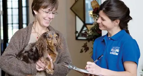 Sears Maid Service Franchise Opportunities image 4