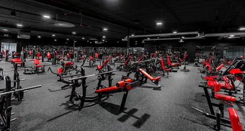 Self Made Training Facility Franchise For Sale image 3