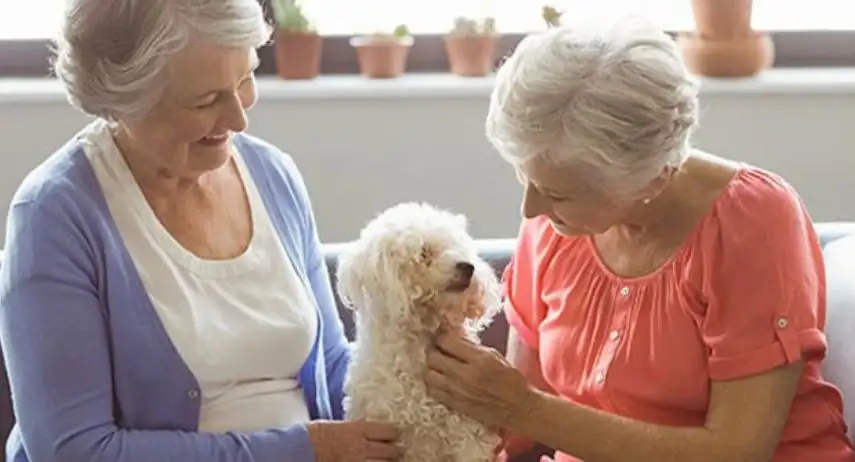 Seniors Helping Seniors