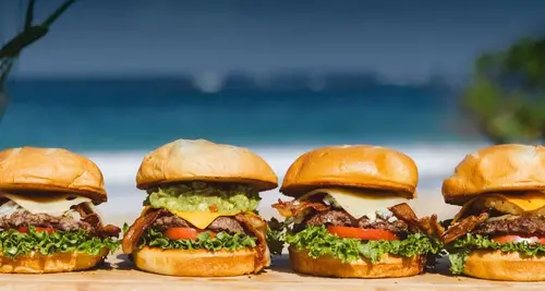 Seven Brothers Burgers Franchise For Sale