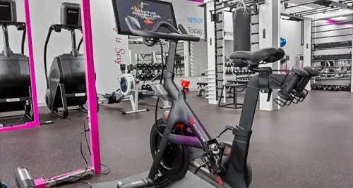 Shapes Fitness for Women Franchise For Sale