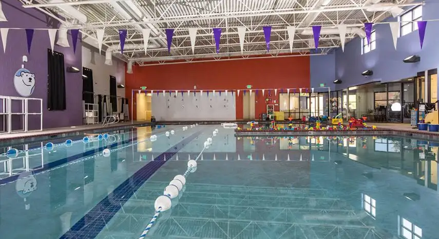 Silver Bear Swim School