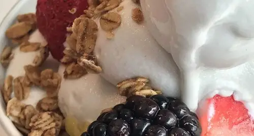 Sincerely Yogurt Franchise Opportunities image 4