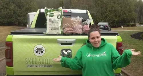 Skedaddle Humane Wildlife Control Franchise For Sale