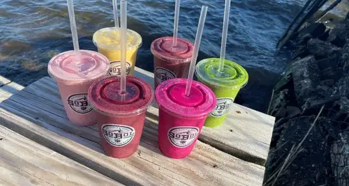 SoBol Franchise Investment, Cost, ROI & Opportunity image 2