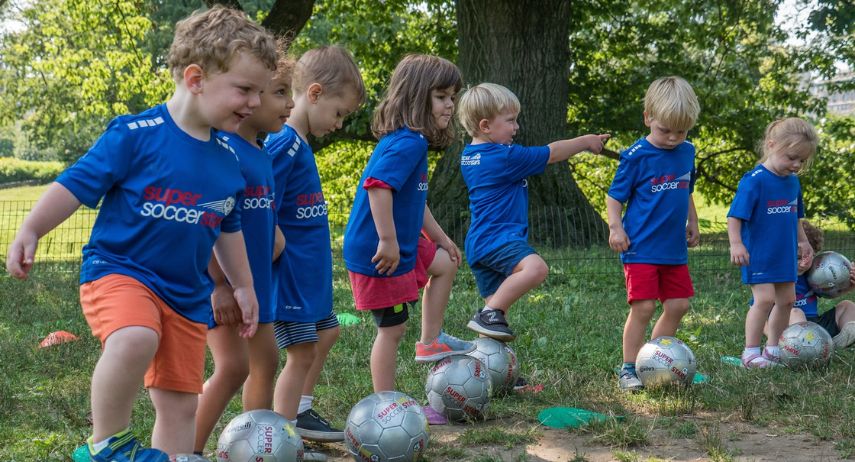 Soccer Stars Franchise For Sale image 2