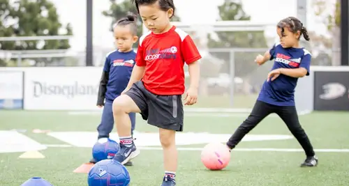 Soccer Stars Franchise For Sale – Cost & Investment